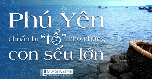 phu-yen-chuan-bi-to-cho-nhung-con-seu-lon