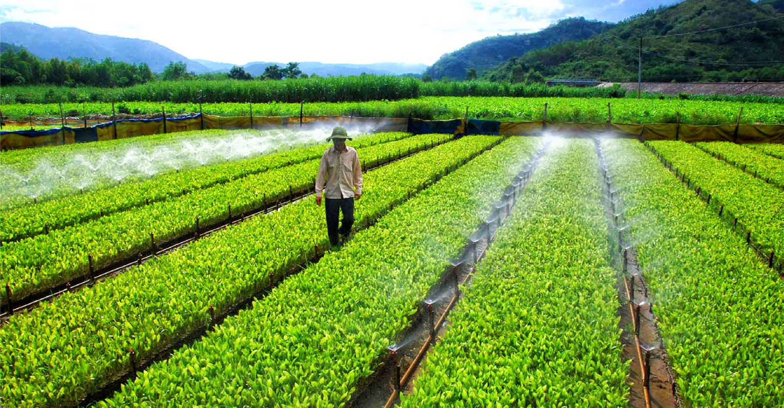 Phú Yên chuẩn bị 